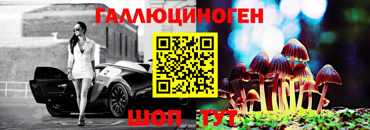 Чусовой  Галлюциногенные грибы мицелий  Вход с VPN 